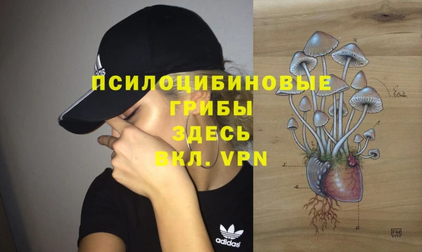 спайс Балабаново